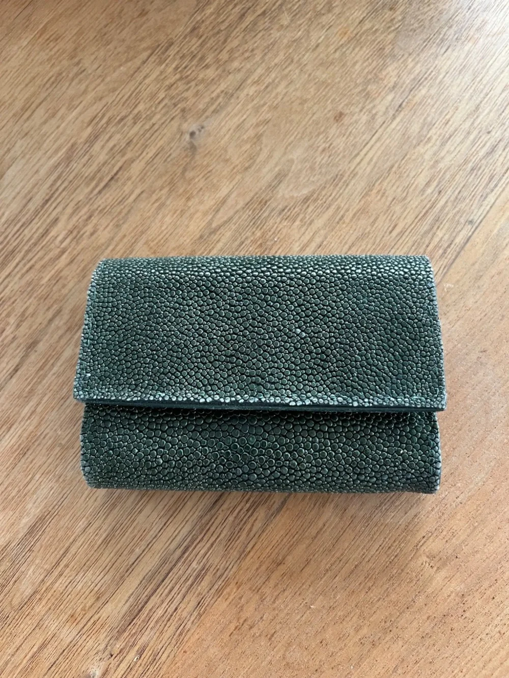 ✨ Maison Martin Margiela Genuine Stingray Card Case Forest Green Vintage ✨